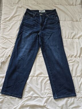 Wide Leg Indigo Rein Size 9